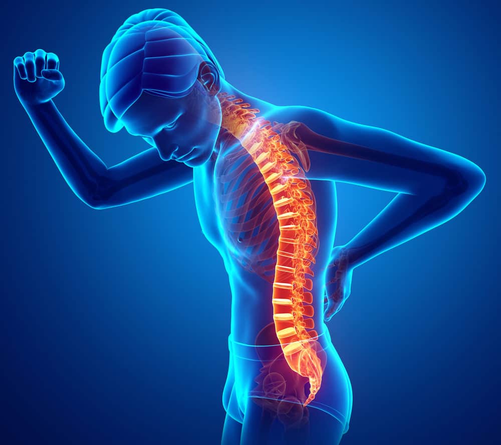 Apex Chiropractic reception area